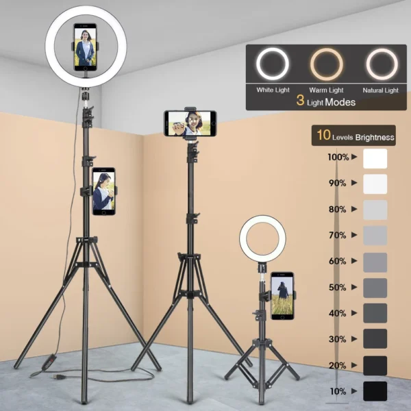 Studio Phone Stand