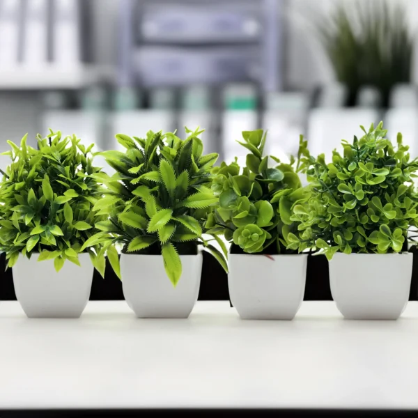 Small Plastic Plant - Image 4