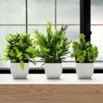 Small Plastic Plant